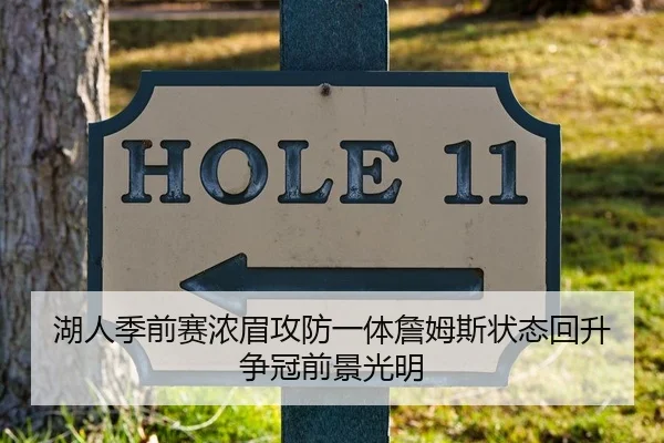 湖人季前赛浓眉攻防一体詹姆斯状态回升争冠前景光明